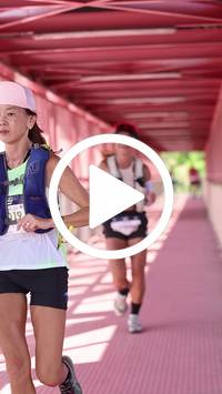 BIB:  <button type="button" onclick="openModal(27534128)" class="btn btn-primary btn-sm float-right" data-toggle="modal" data-target=".modal-high-quality">
                <i class="fa fa-download"></i> Download
                </button>